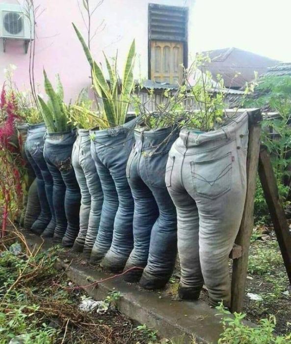WTF Photos (39 pics)