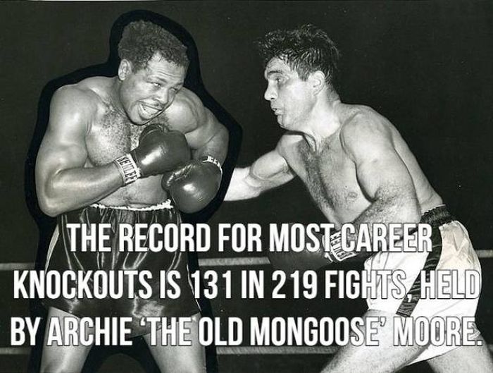 Facts About Boxing (15 pics)