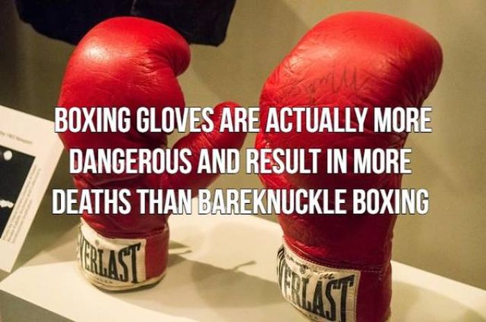 Facts About Boxing (15 pics)