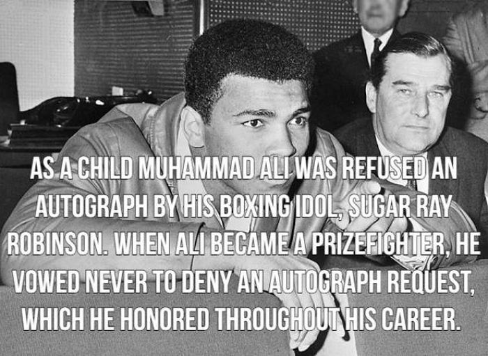 Facts About Boxing (15 pics)
