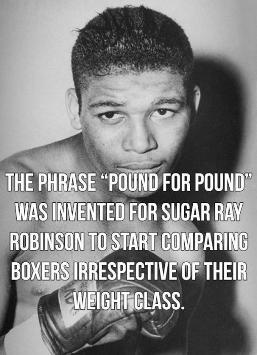 Facts About Boxing (15 pics)