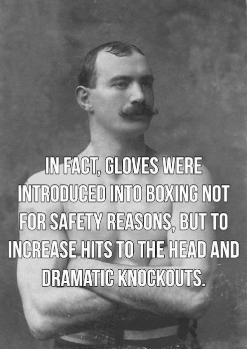 Facts About Boxing (15 pics)
