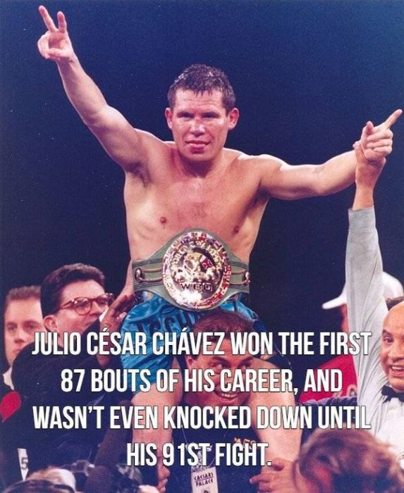 Facts About Boxing (15 pics)