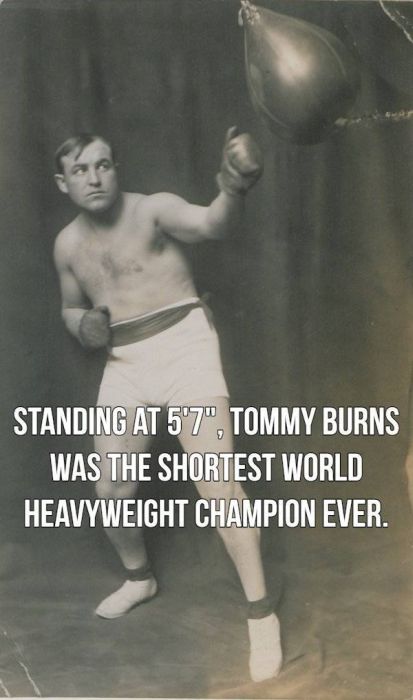 Facts About Boxing (15 pics)