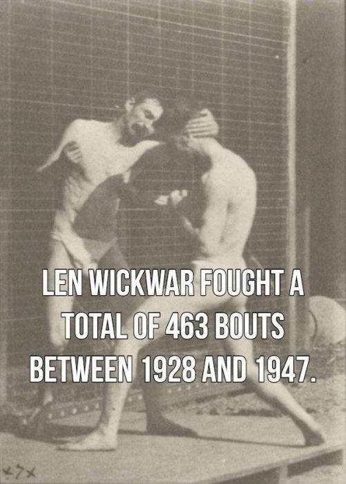 Facts About Boxing (15 pics)