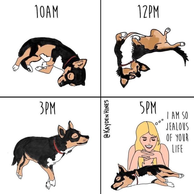 This Illustrator Hilariously Sums Up The True Struggles Of Adult Life (25 pics)