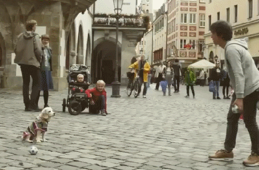 Acid Gifdump, July 17, 2018 (25 gifs)