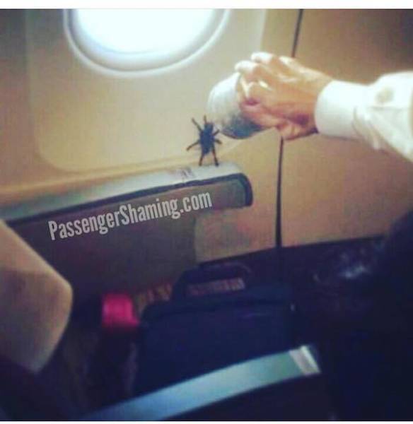 Mass Transit Is Where People Just Don’t Care (22 pics)