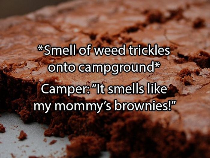 Crazy Things People Overheard At Summer Camp (18 pics)