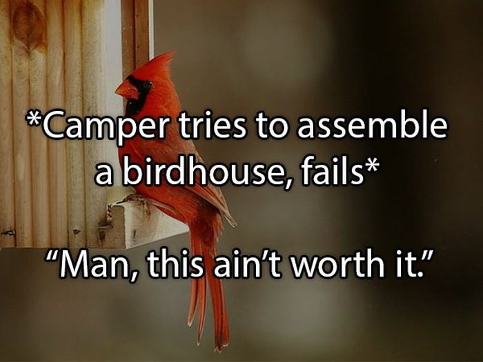 Crazy Things People Overheard At Summer Camp (18 pics)