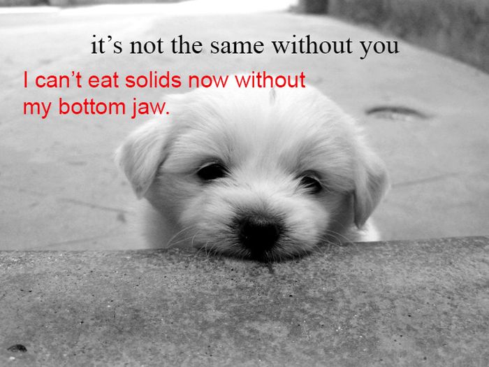 Making Fun Of Hipsters’ Melodramatic Captions (19 pics)