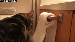 Acid Gifdump, July 18, 2018 (25 gifs)
