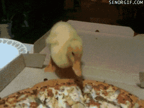 Acid Gifdump, July 18, 2018 (25 gifs)