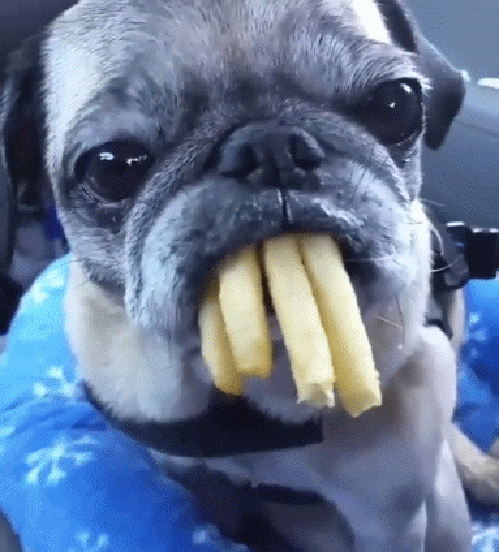 Acid Gifdump, July 18, 2018 (25 gifs)