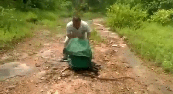 Acid Gifdump, July 18, 2018 (25 gifs)