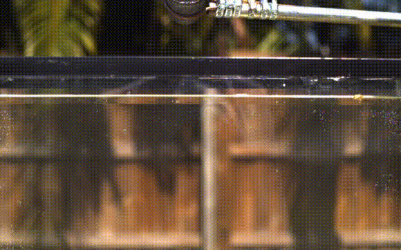 Acid Gifdump, July 18, 2018 (25 gifs)