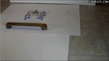 Acid Gifdump, July 18, 2018 (25 gifs)