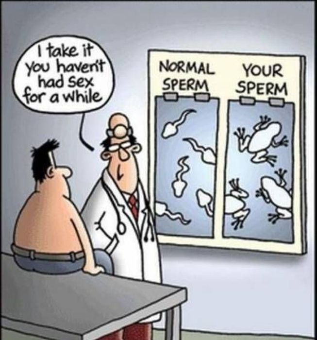 Sexual Abstinence Memes 26 Pics 