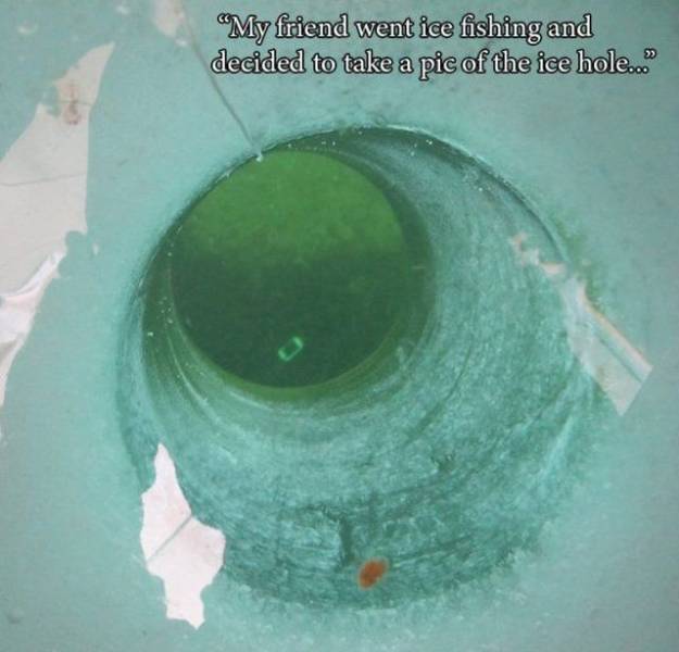 Sh*t Happens (49 pics)