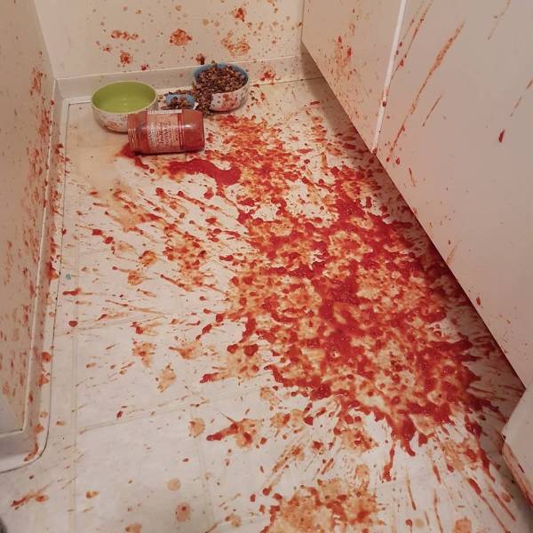 Sh*t Happens (49 pics)