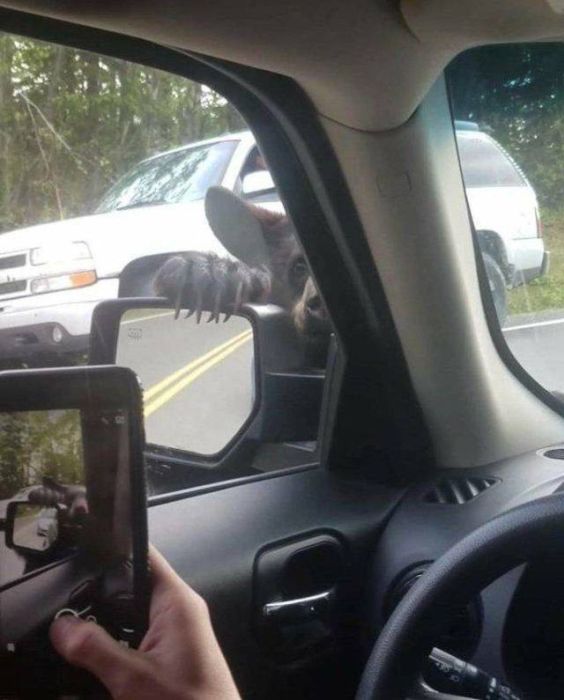 Sh*t Happens (49 pics)