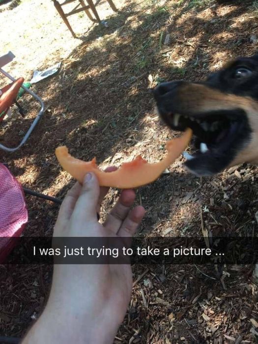 Sh*t Happens (49 pics)