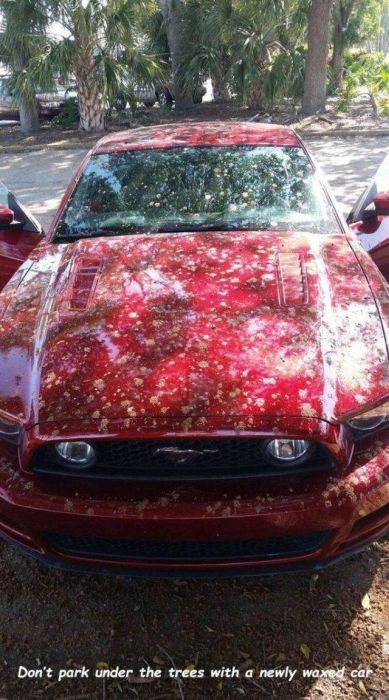 Sh*t Happens (49 pics)