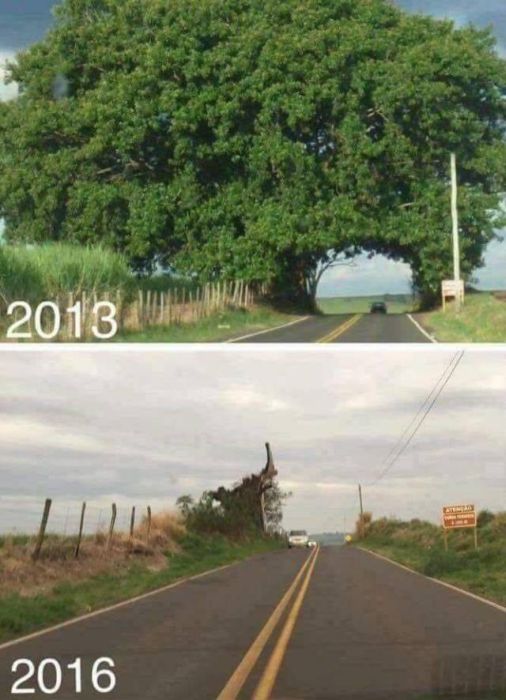 Sh*t Happens (49 pics)