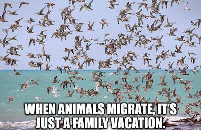 Shower Thoughts (37 pics)