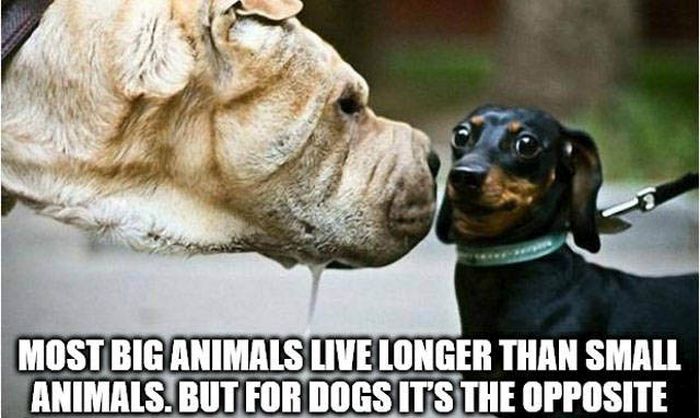 Shower Thoughts (37 pics)