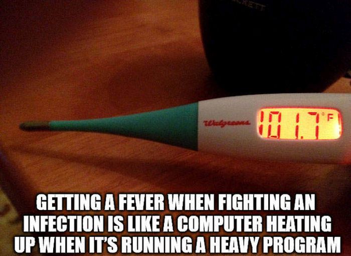 Shower Thoughts (37 pics)