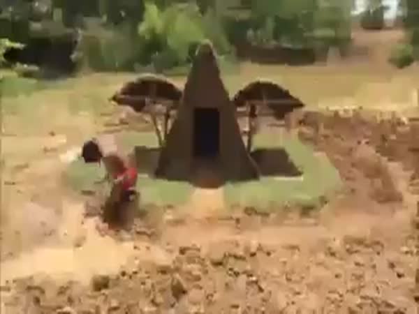 The Power Of Will
