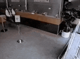 When There’s No Hope Anymore (18 pics)