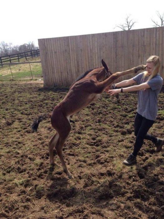 Acid Picdump (90 pics)
