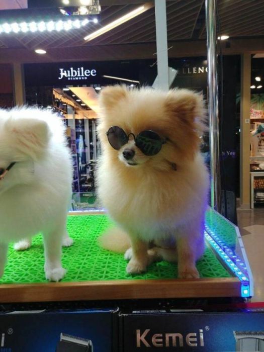 Acid Picdump (90 pics)