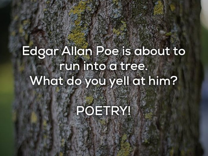 Dad Jokes (20 pics)