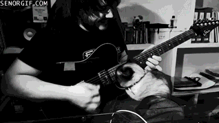 Acid Gifdump, July 19, 2018 (25 gifs)