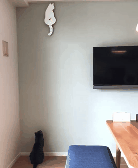Acid Gifdump, July 19, 2018 (25 gifs)