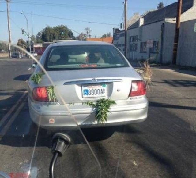 You Got Caught (26 pics)