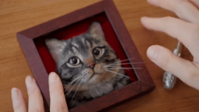Acid Gifdump, July 20, 2018 (25 gifs)