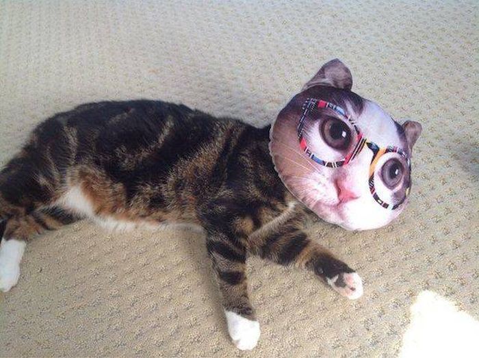 Acid Picdump (100 pics)