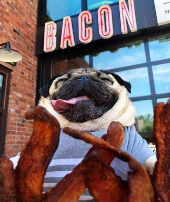 Acid Picdump (100 pics)