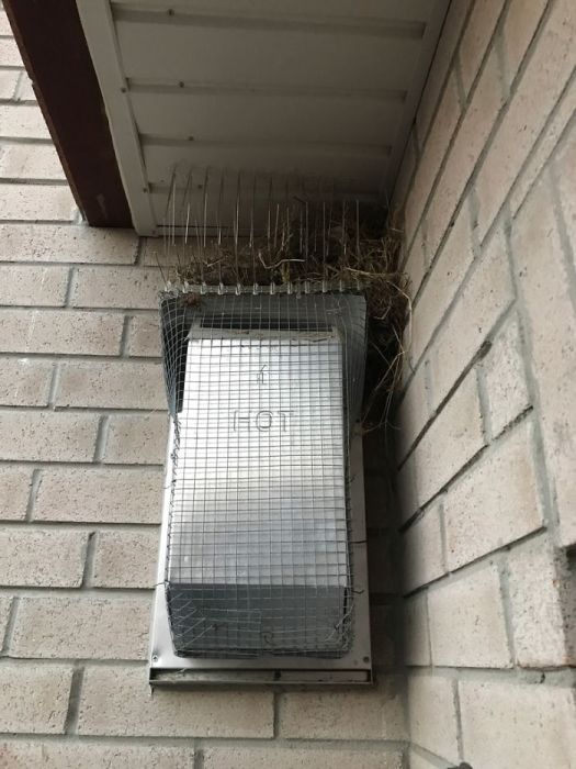 Guy Tries To Fight Against Birds Making Nests On His House For 4 Years, And It Gets Funnier (15 pics)