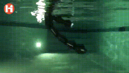 Acid Gifdump, July 23, 2018 (25 gifs)