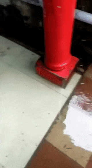 Acid Gifdump, July 23, 2018 (25 gifs)