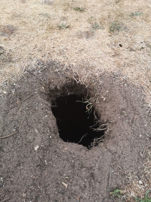 A Hole Opened Up In Garden And It Was A Brick Chamber (11 pics)