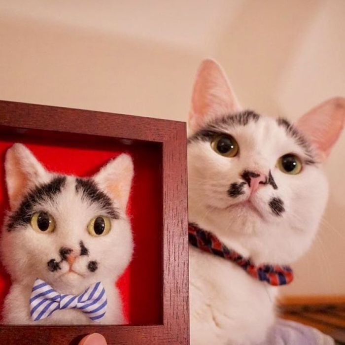 Artist From Japan Makes Hyper Realistic Cat Portraits From Wool (18 pics)