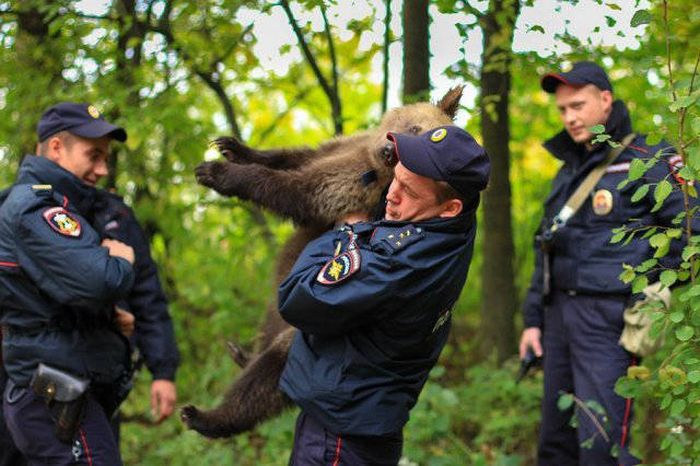 Only In Russia (36 pics)