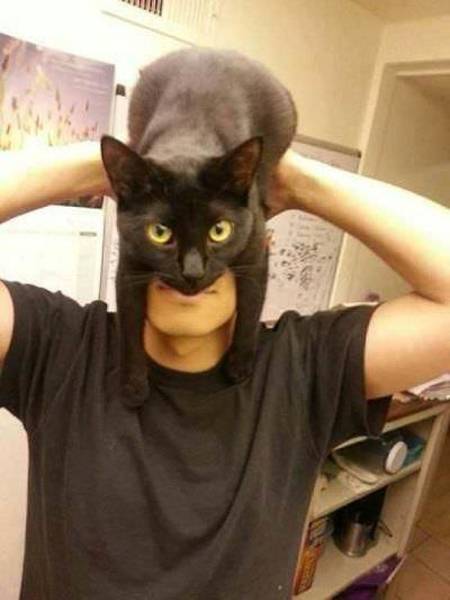 Accidental Cosplays (17 pics)