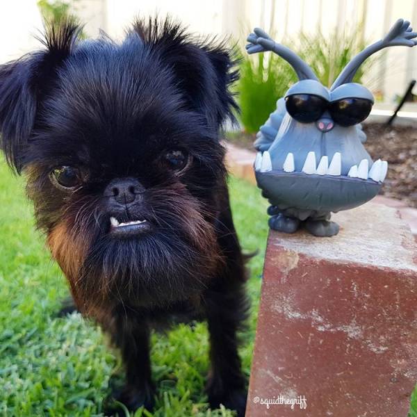 Accidental Cosplays (17 pics)